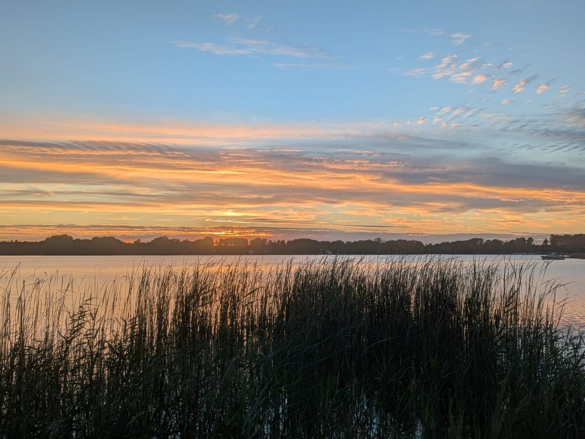 Panorama: Schilf und Sonnenuntergang am Großen Zechliner See