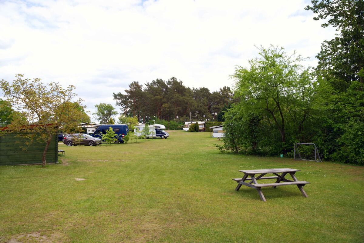 Stellplätze am Campingplatz Flecken Zechlin – grüne Wiese mit Wohnmobilen unter Bäumen
